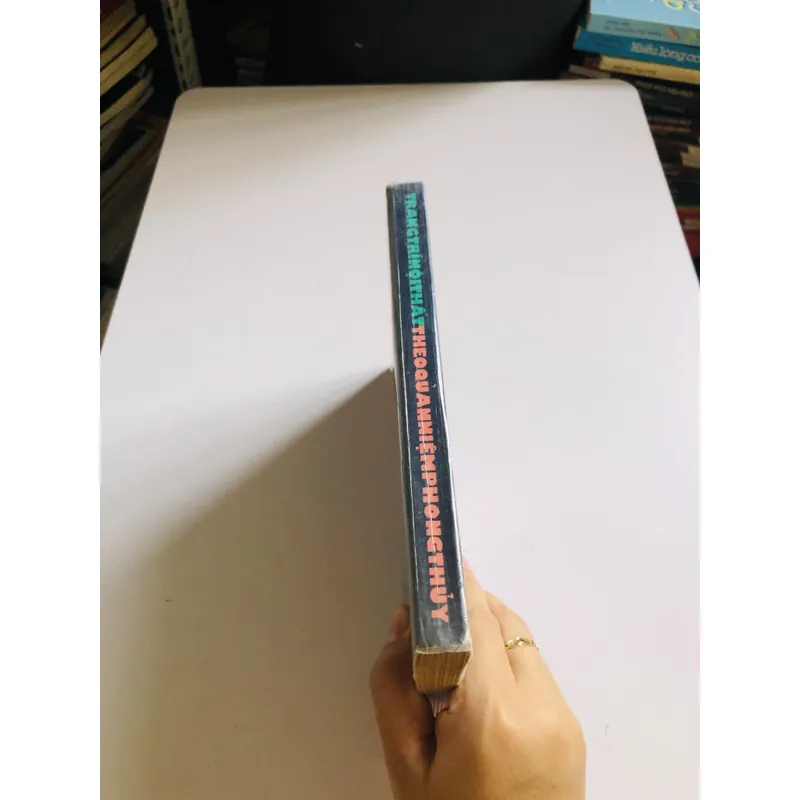 TRANG TRÍ NỘI THẤT THEO QUAN NIỆM PHONG THUỶ 699300