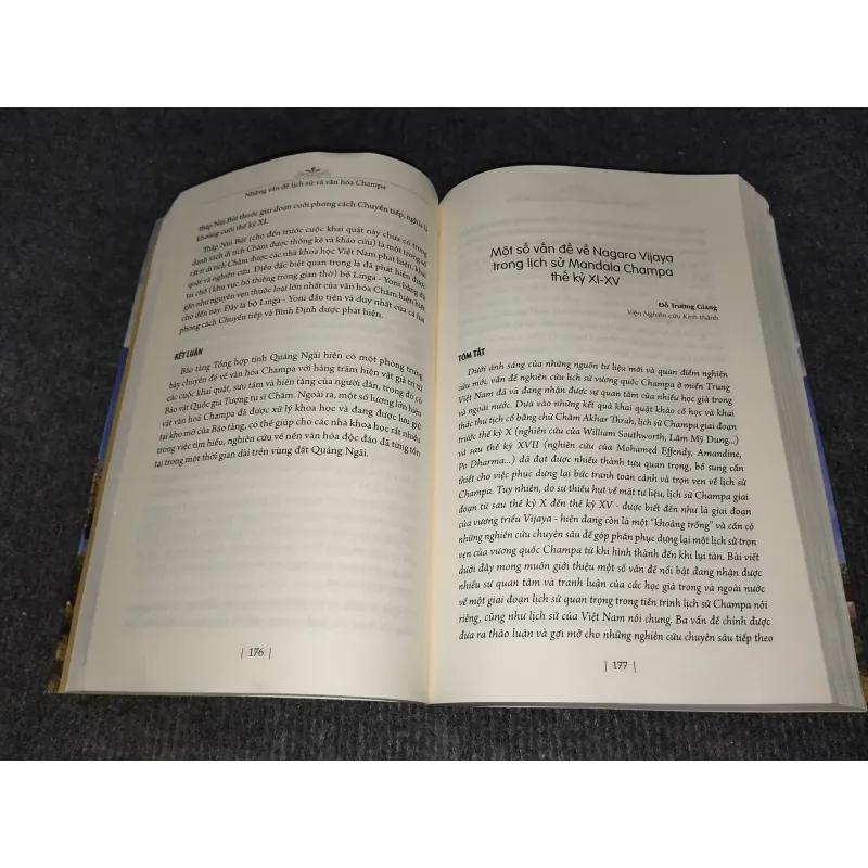 NHỮNG VẤN ĐỀ LỊCH SỬ VÀ VĂN HOÁ CHAMPA 992274