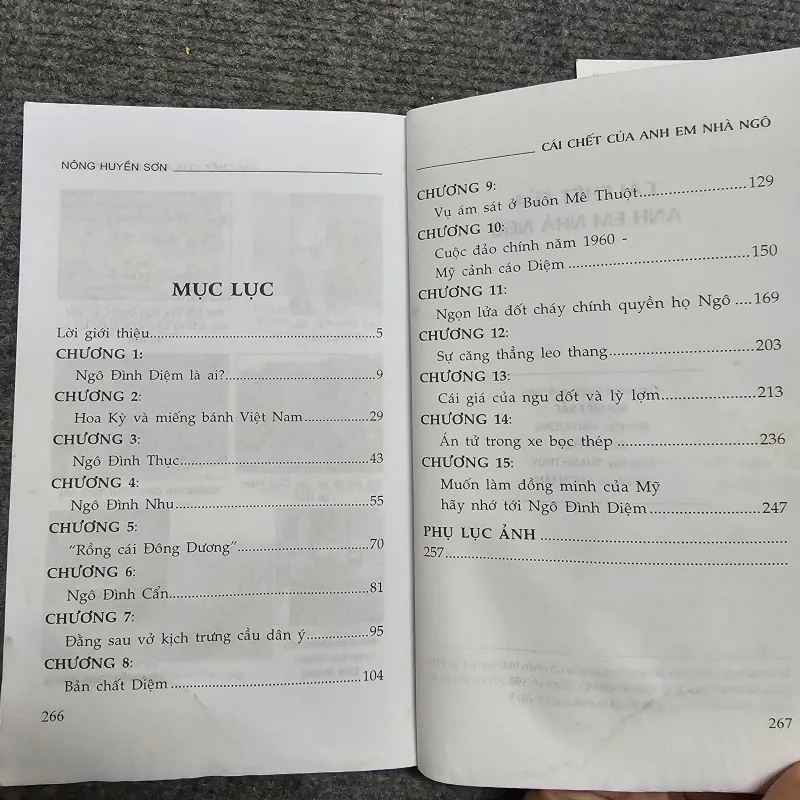 Cái chết của anh em nhà họ Ngô 1030682