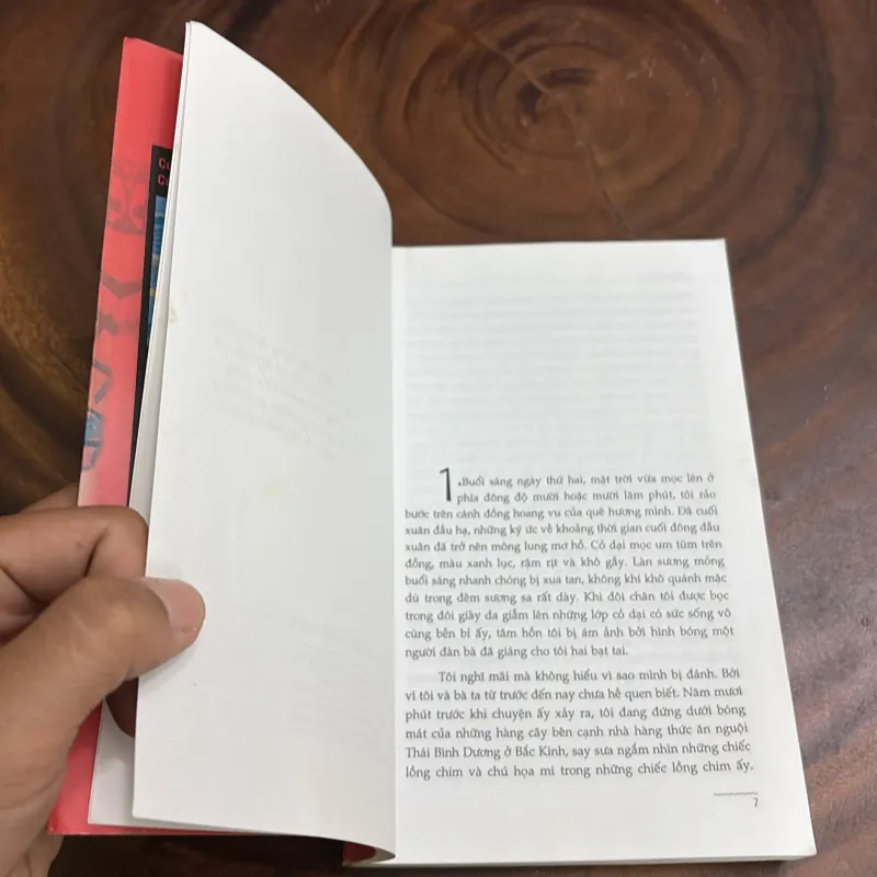 II Văn Học Trung Quốc: Châu Chấu Đỏ - Mạc Ngôn - Trần Trung Hỷ (Dịch) - 2008 997981