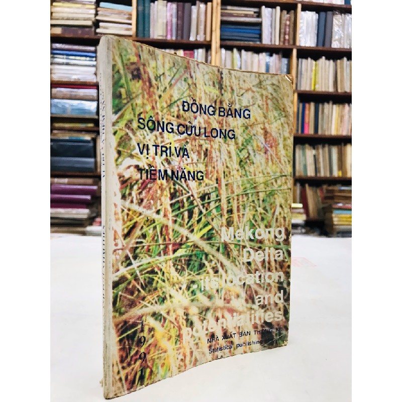 Đồng bằng sông cửu long vị trí và tiềm năng ( song ngữ ) 125731
