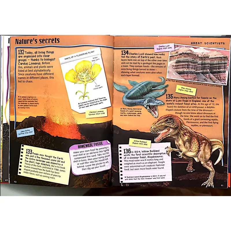FANTASTIC SCIENCE FACTS - MILES KELLY 1044771