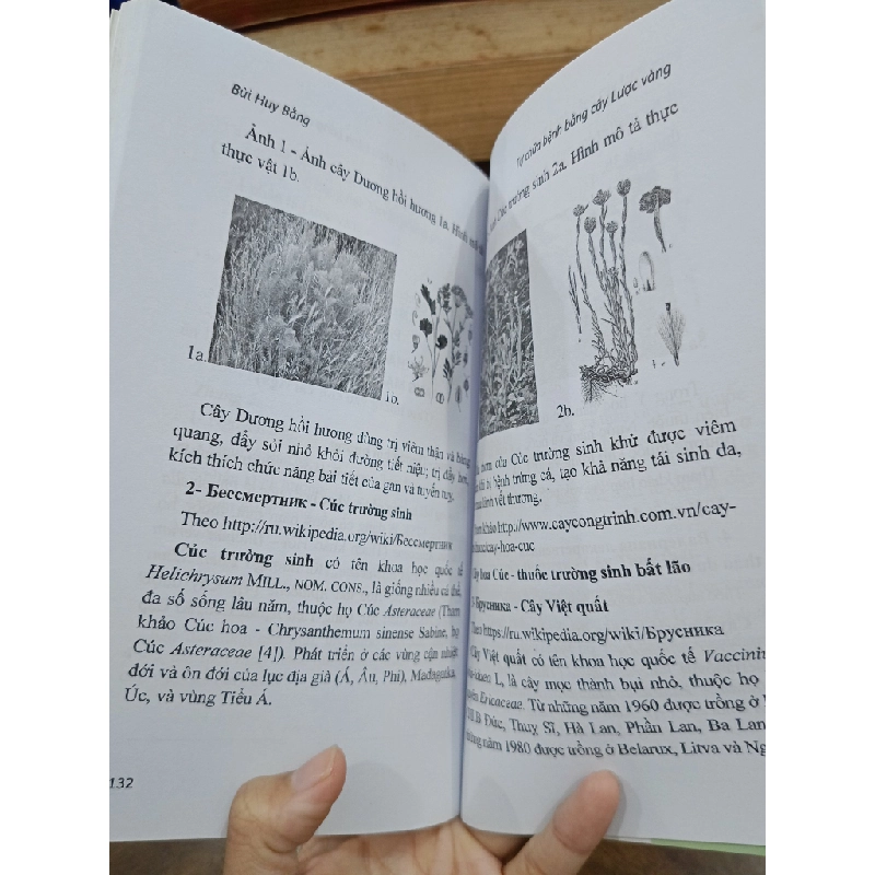 Tự chữa bệnh bằng cây lược vàng - Bùi Huy Bằng (biên soạn) 505351