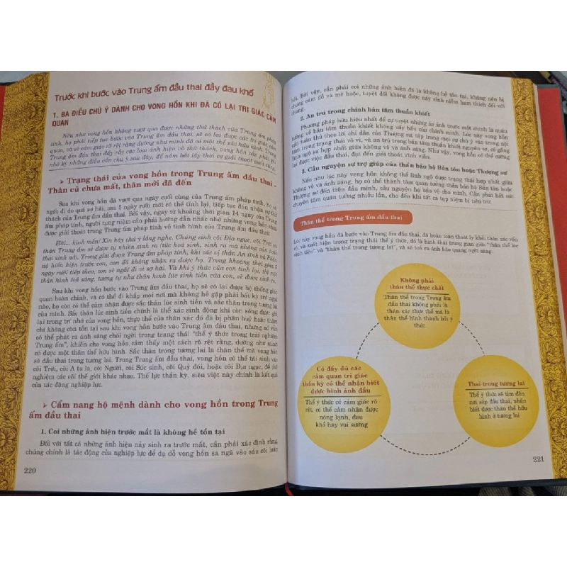 Sinh tử kỳ thư - Tây Tạng 979063