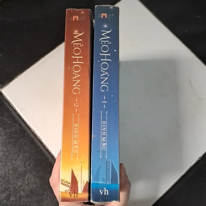 Mèo hoang-Đinh Mặc 1011170