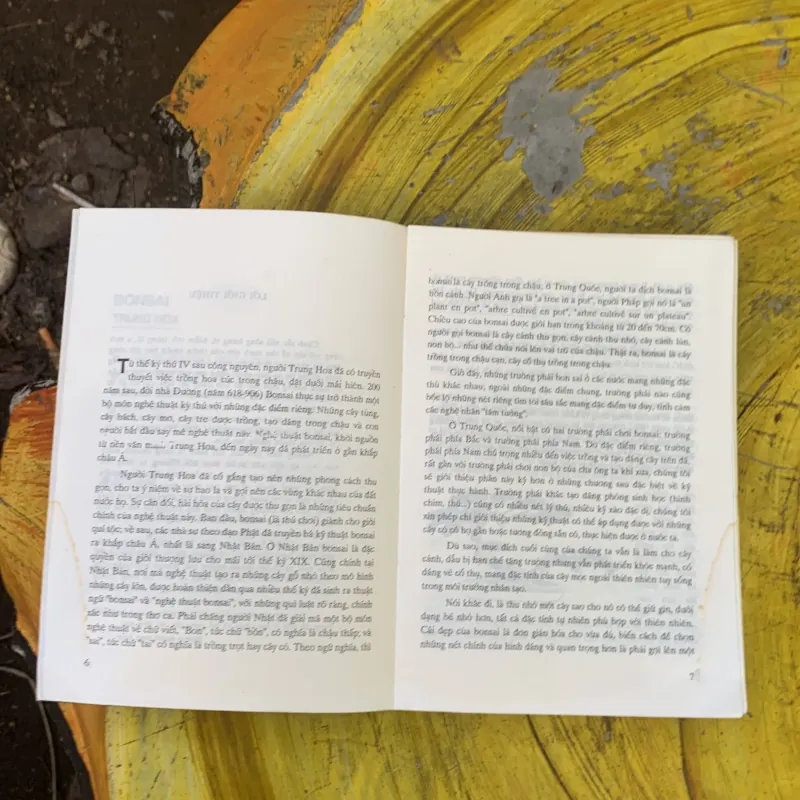 BONSAI CÂY DÁNG, THẾ VÀ NON BỘ - ĐỖ HIỆP 759688