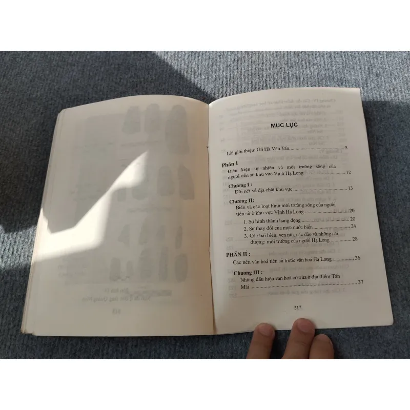 HẠ LONG THỜI TIỀN SỬ 694784