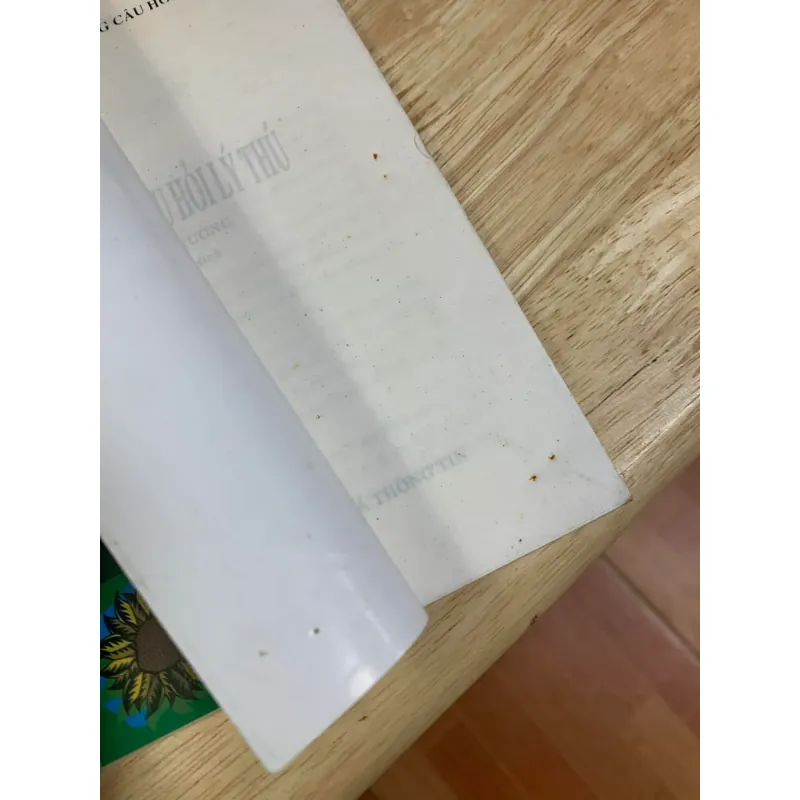 Những Câu Hỏi Lý Thú - M.I-Lin 927487