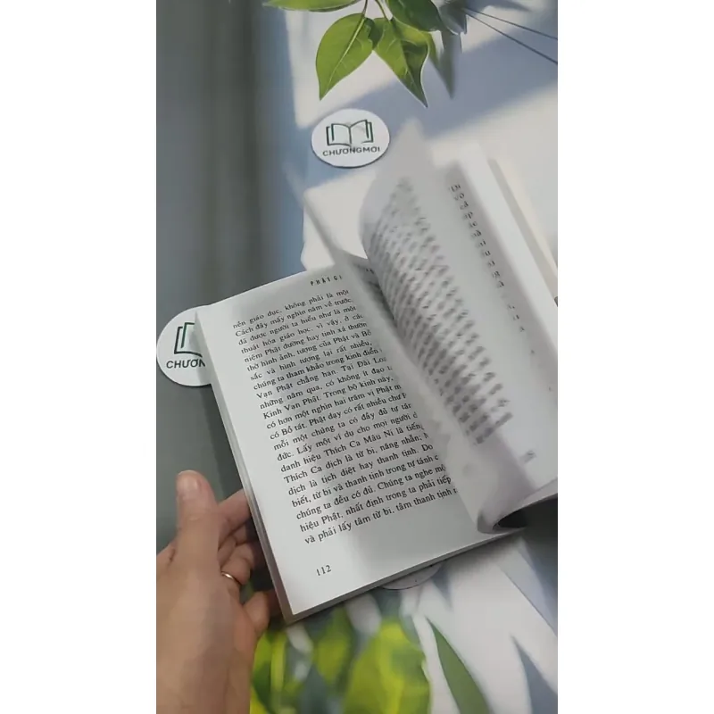 Phật Giáo Là Gì? 715592