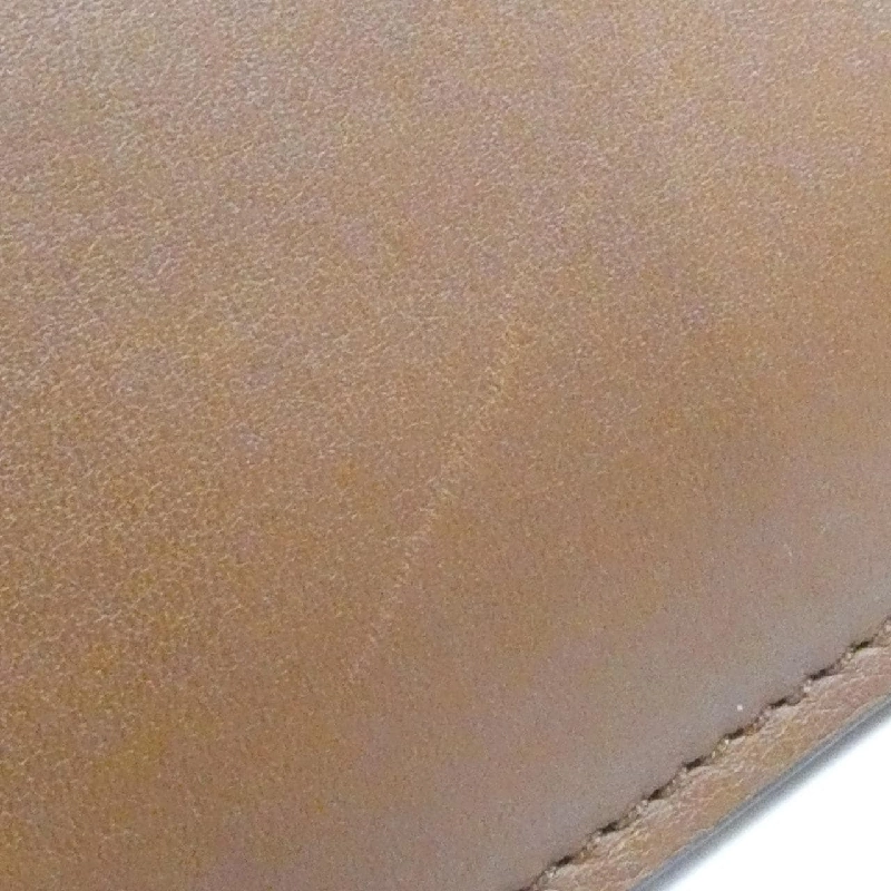 Túi xách vai nhỏ Trifol của Celine - Hàng hiệu Authentic 764042