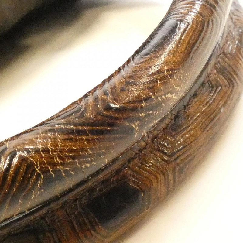 Fendi 8BR589RPU Túi - Hàng hiệu Chính hãng 803473