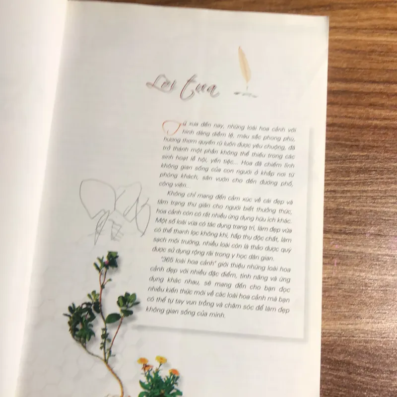 365 loài hoa cảnh 989813