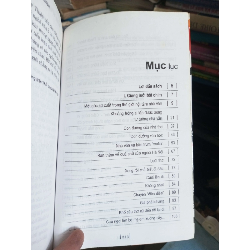 Giăng lưới bắt chim 2006 Văn học Việt Nam KSX1004 1007951