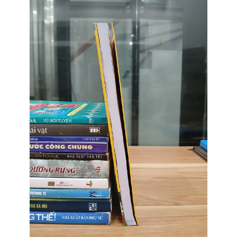 Tự học tiếng Hàn dành cho người mới bắt đầu – Chủ biên: Tuyết Mai (MCBooks) 560782