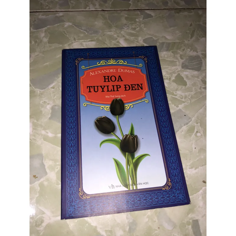 Hoa tuylip đen 928132