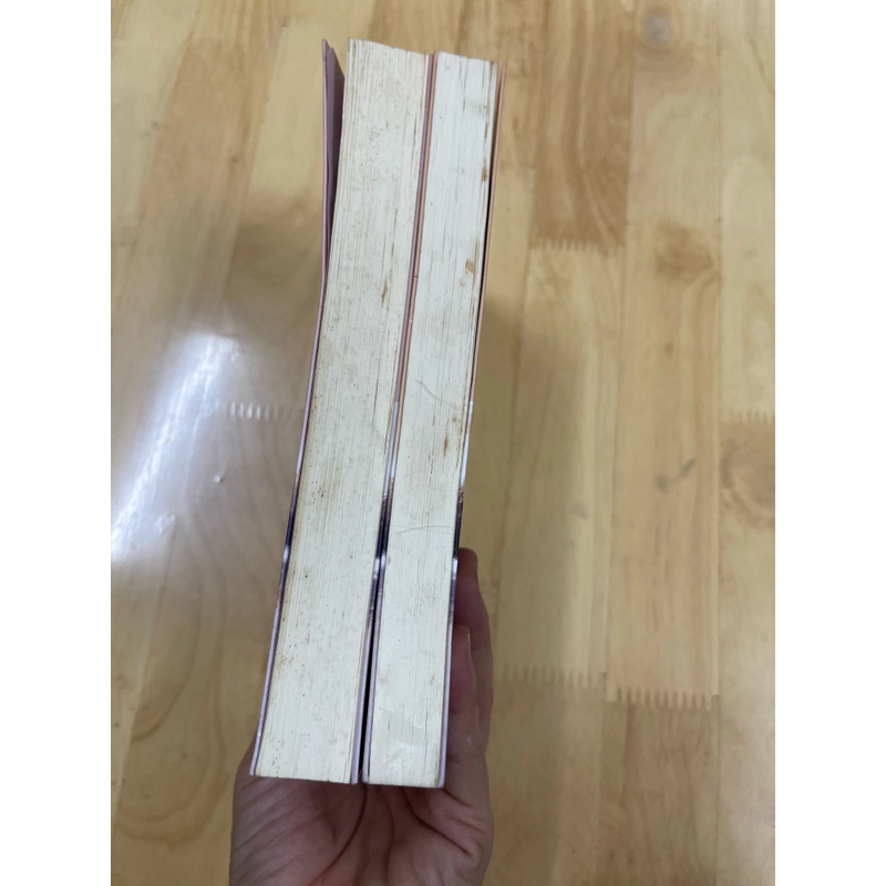 Vội vã trưởng thành vội vã cô đơn (2tập ) 405490