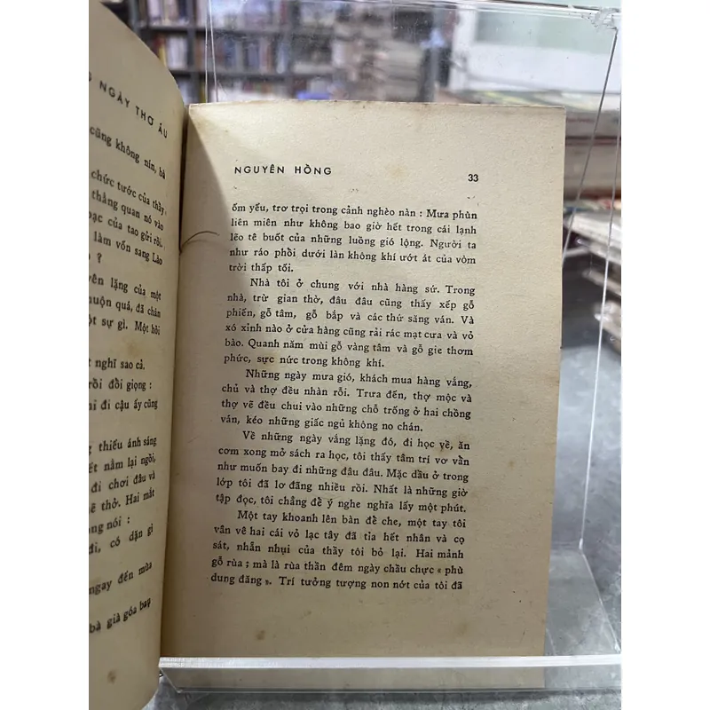 NHỮNG NGÀY THƠ ẤU - NGUYÊN HỒNG 713535