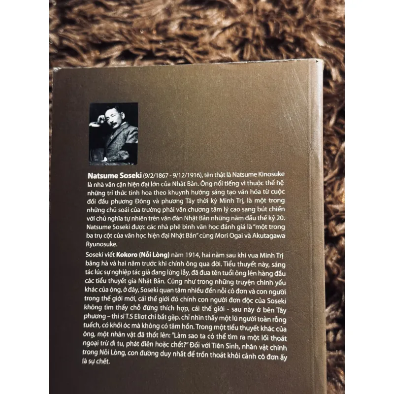 Combo Nỗi Lòng + Gối đầu lên cỏ 1020763