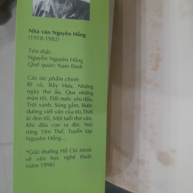 Nguyên Hồng - NHỮNG NGÀY THƠ ẤU 541990