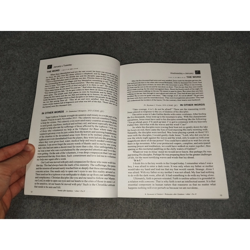 THE WORD IN OTHER WORDS - BIBLE DIARY 2015 517733
