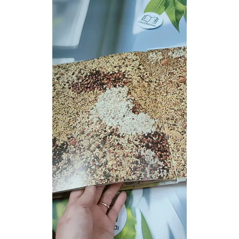 [Tặng nẹp góc] Truyện thiếu nhi Hàn Quốc: Moyamo Anu 56 -  모야모 아누와: 카멜레온에게 혼쭐난 아난시 732060