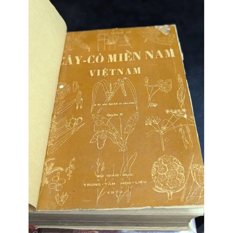 Cây cỏ miền nam Việt Nam - Phạm Hoàng Hộ ( trọn bộ 2 tập ) 128641