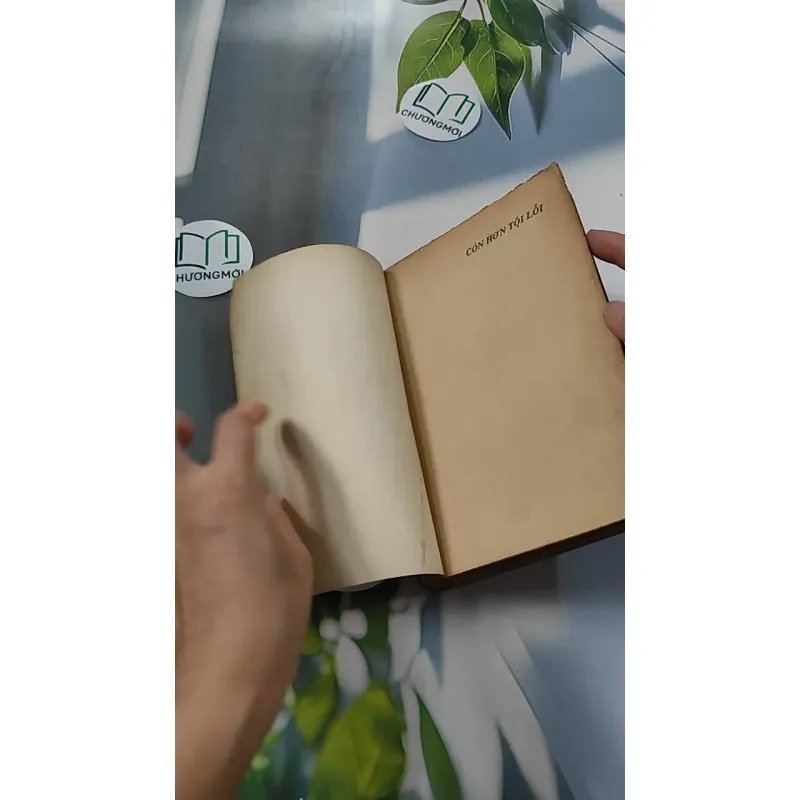 [XƯA] Còn Hơn Tội Lỗi (1991) - Barney Leason 776056