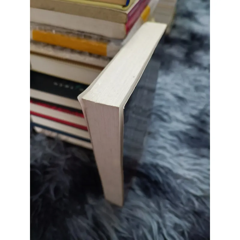 Bùi Giáng trong cõi người ta 993528