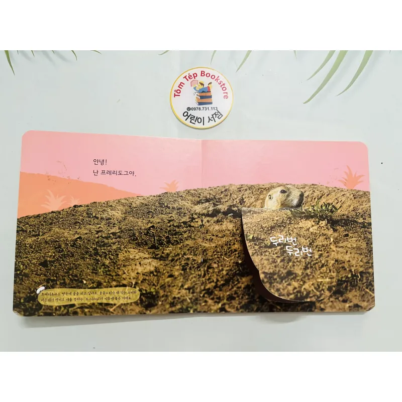 Set boardbook tranh ảnh động vật, thực vật chó bé B30 l 1043706