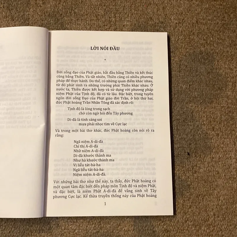 Tịnh Độ Yếu Nghĩa- Soạn: Chân Nguyễn Tuệ Đăng- Dich Chủ: Lê Mạnh Thát 689162