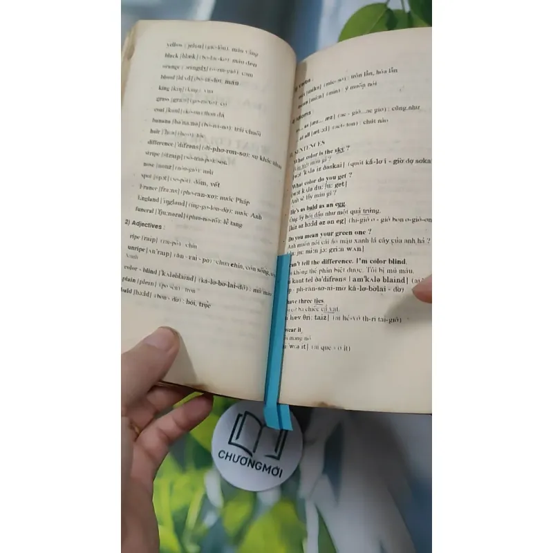 Tiếng Anh Thực Dụng Dễ Học 727293