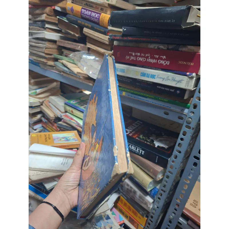 Chuyện phiêu lưu của mít đặc và các bạn 931218