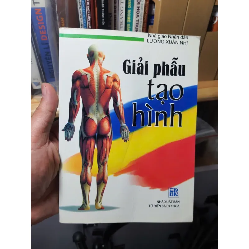 Giải phẫu tạo hình 675530