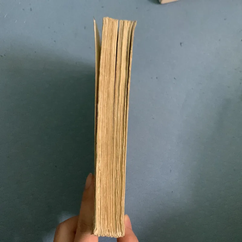 Sáng, Trưa & Đêm 1010762