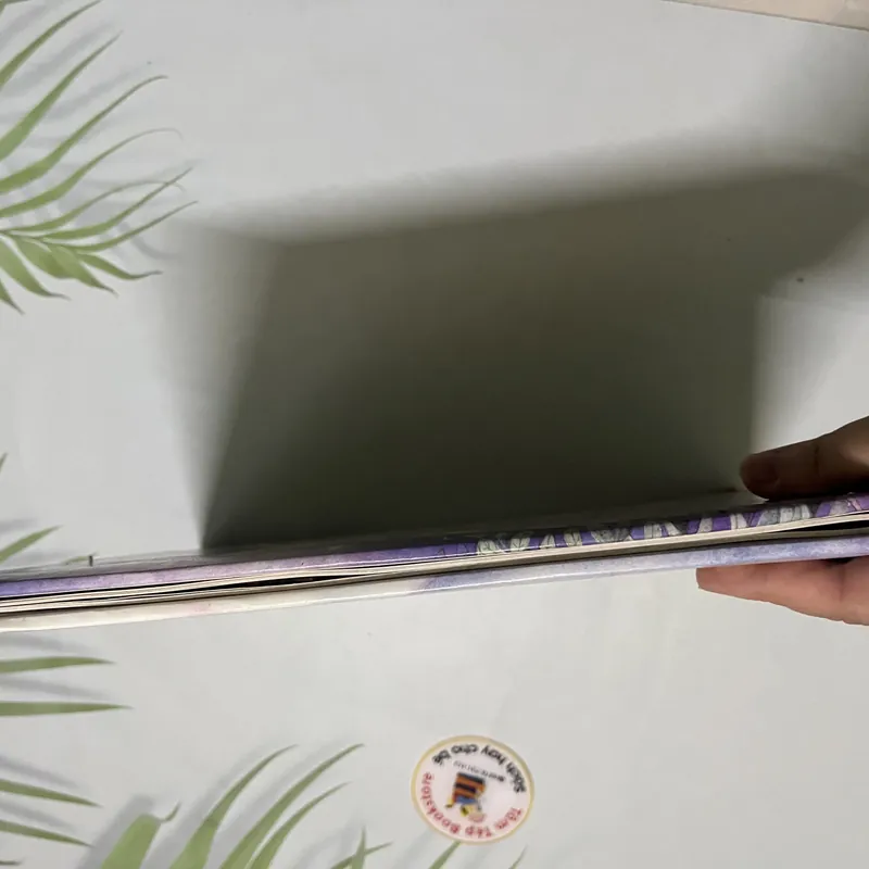 Fairy Secrets – A Magical Secret Envelope Book 690033