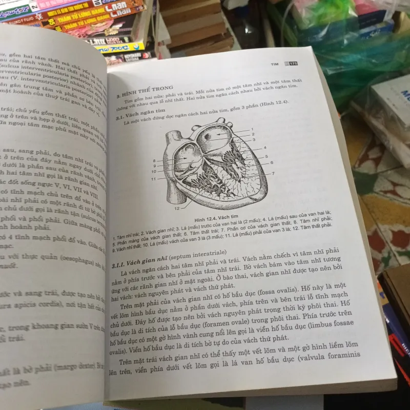 Giải Phẫu Người Trọn Bộ 3 tập 546020