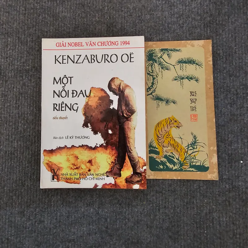 Một nỗi đau riêng - kenzaburo Oe - sách đẹp 754020