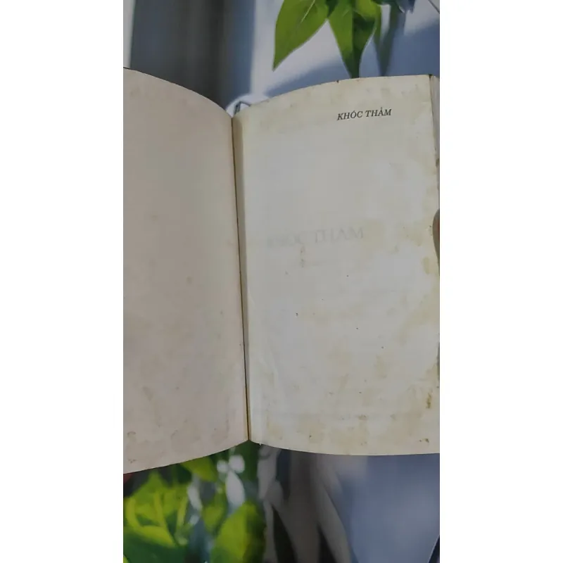 Combo Truyện: Ngọn cỏ gió đùa, Khóc thầm - Hồ Biểu Chánh 798500