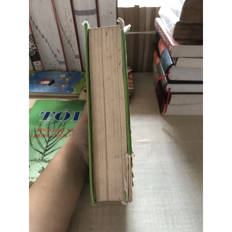 Sự nghiệp cả cuộc đời 993324