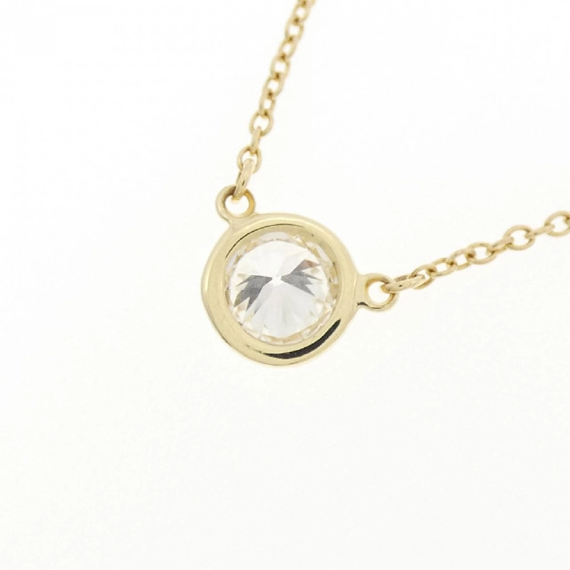 Dây chuyền Tiffany By The Yard - Hàng hiệu Authentic 843563