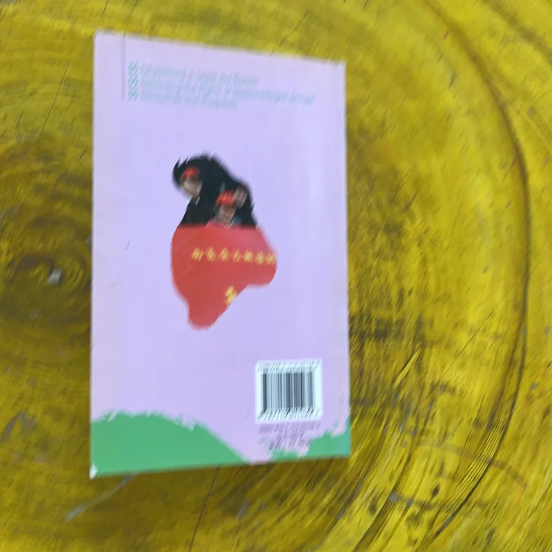 CHINA’S DEVELOPING LEGAL AID SYSTEM 1002596