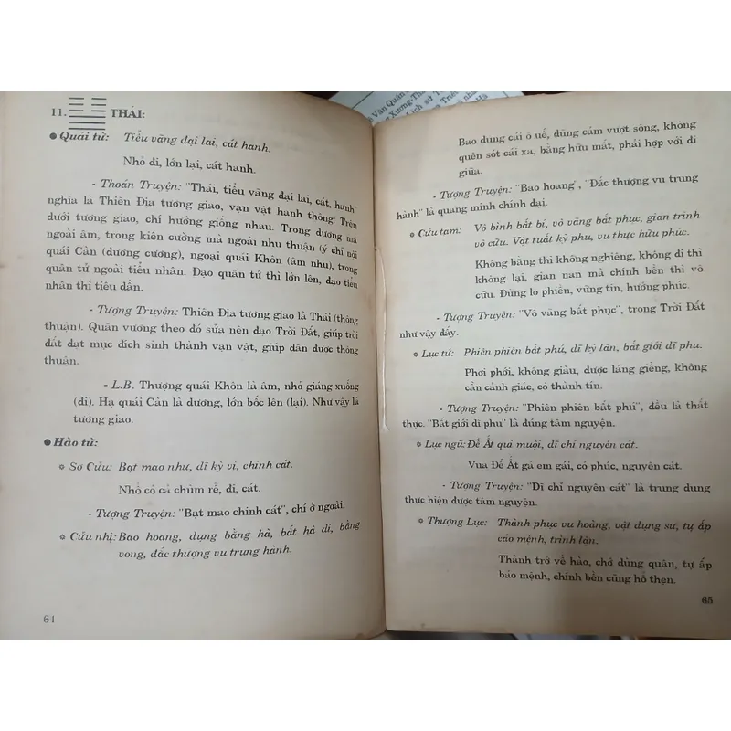 CHU DỊCH PHỔ THÔNG - Nguyễn Duy Hinh 596939