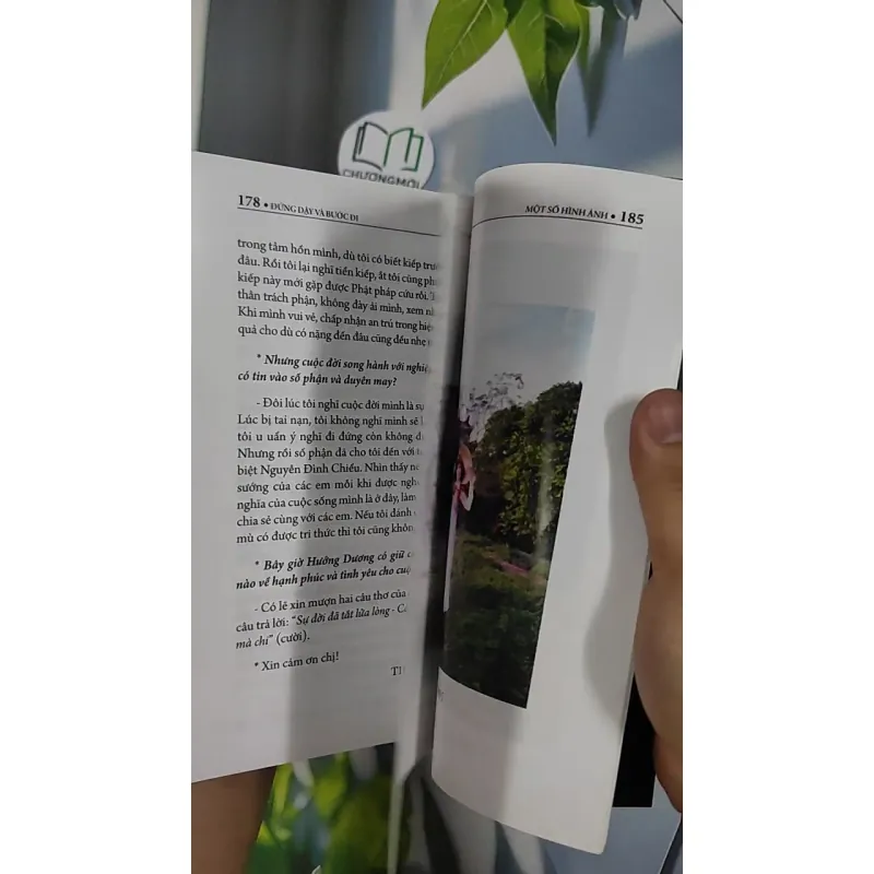 Đứng Dậy Và Bước Đi - Nguyễn Hướng Dương 798435