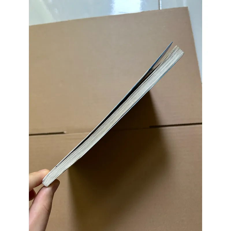 Chuyện con mèo dạy hải âu bay (lỗi bìa như ảnh) 734308