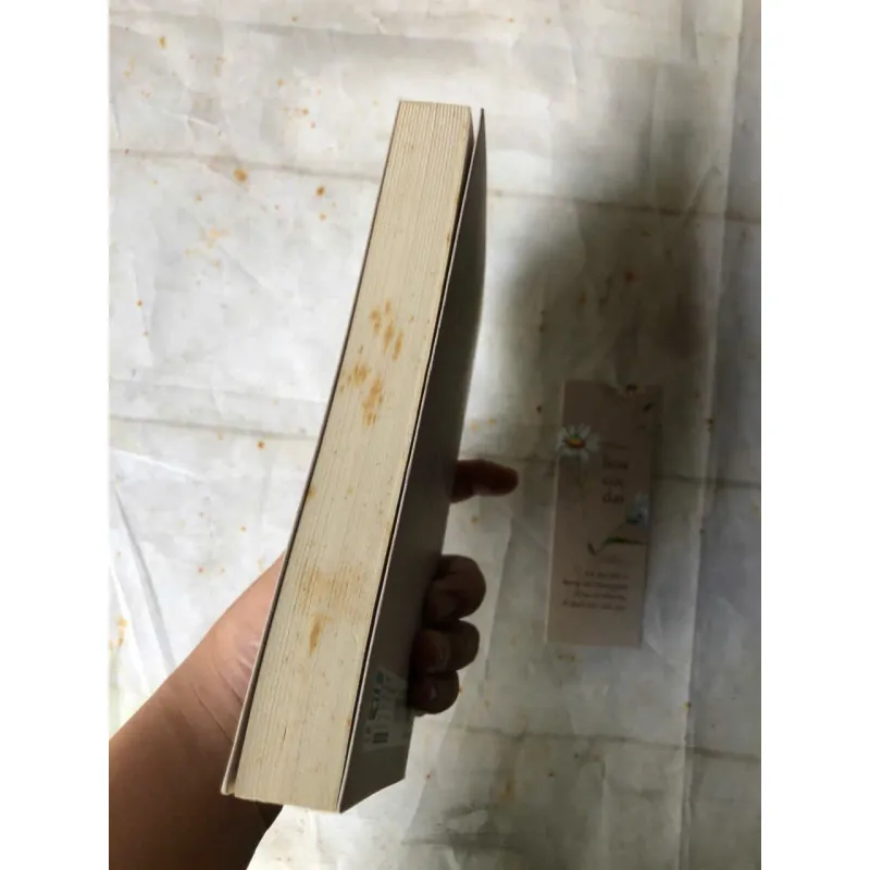 Hoa Cúc Dại - Kim Ân 974418