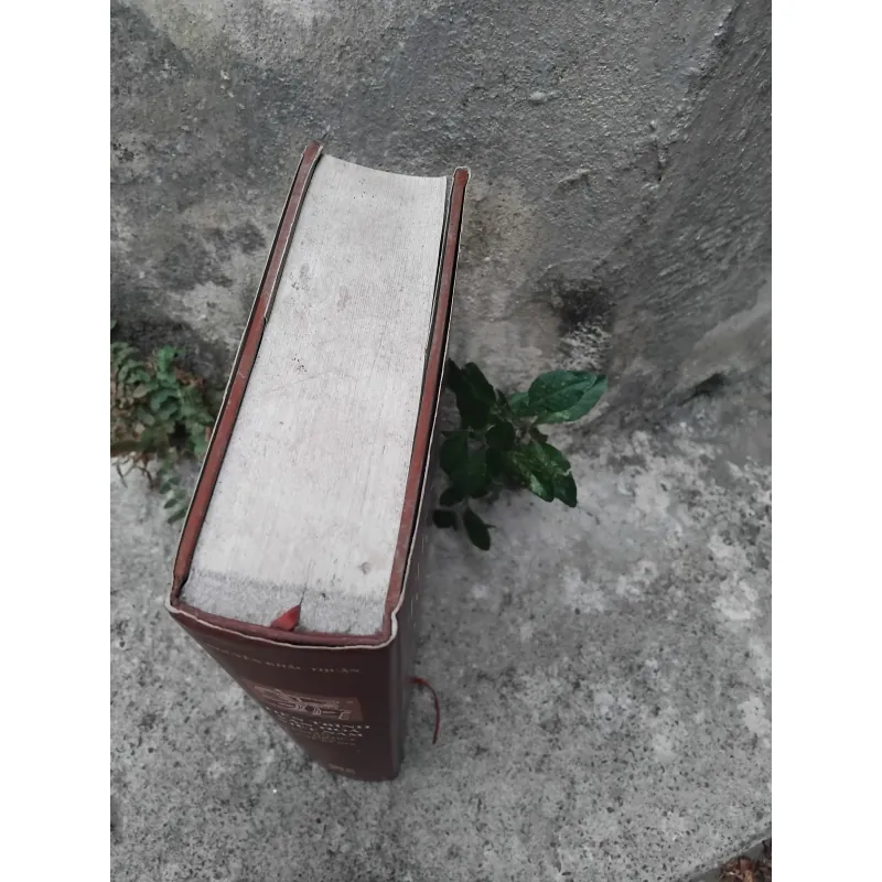 Tiến trình văn hóa Việt Nam từ khởi thủy đến thế kỷ XIX 1020969