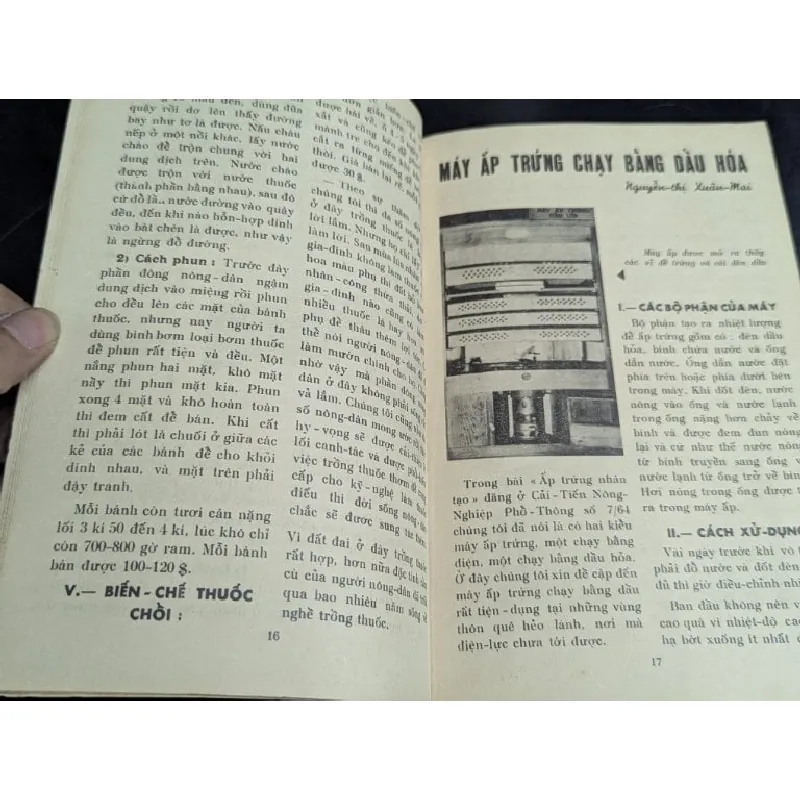 Cải thiện nông nghiệp phổ thông 588839