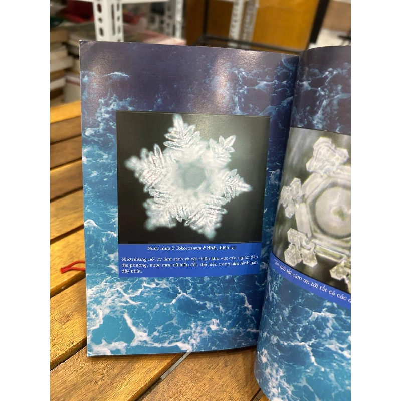 Bí Mật Của Nước - Masaru Emoto - Masaru Emoto 994181