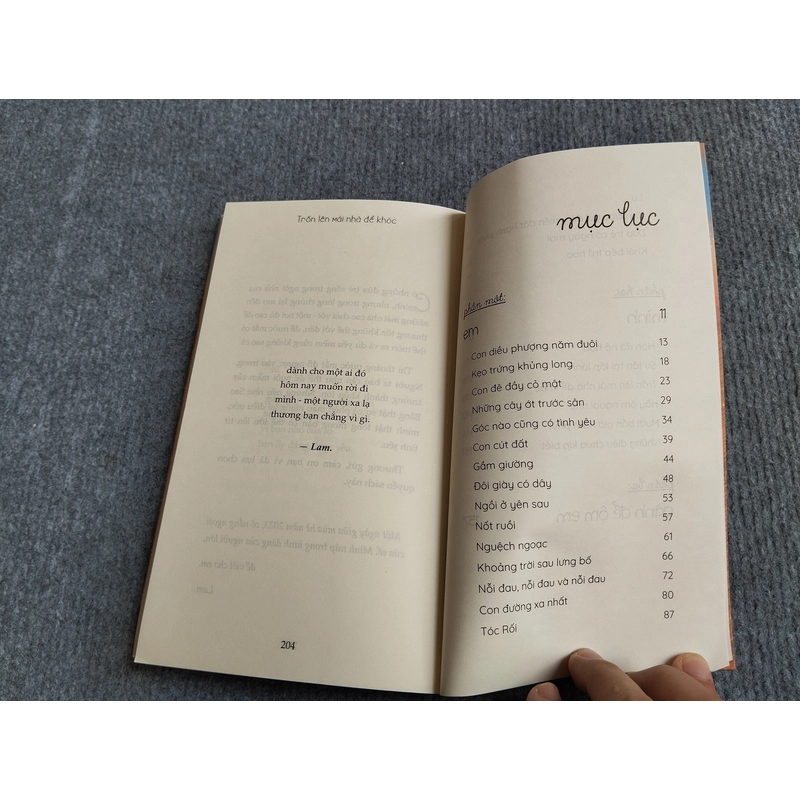 TRỐN LÊN MÁI NHÀ ĐỂ KHÓC - LAM 552808