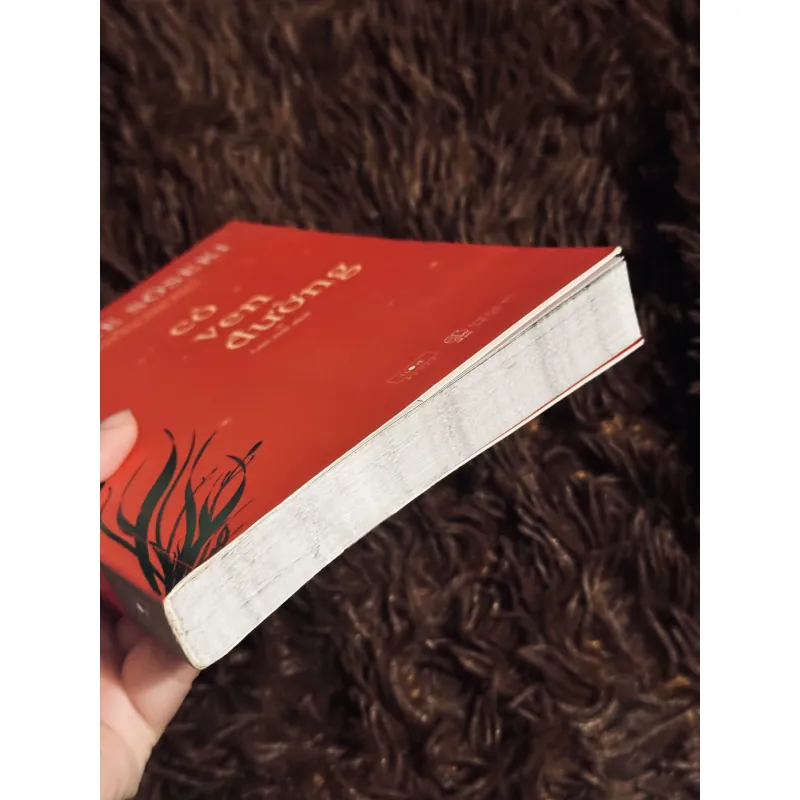 Cỏ ven đường 999175